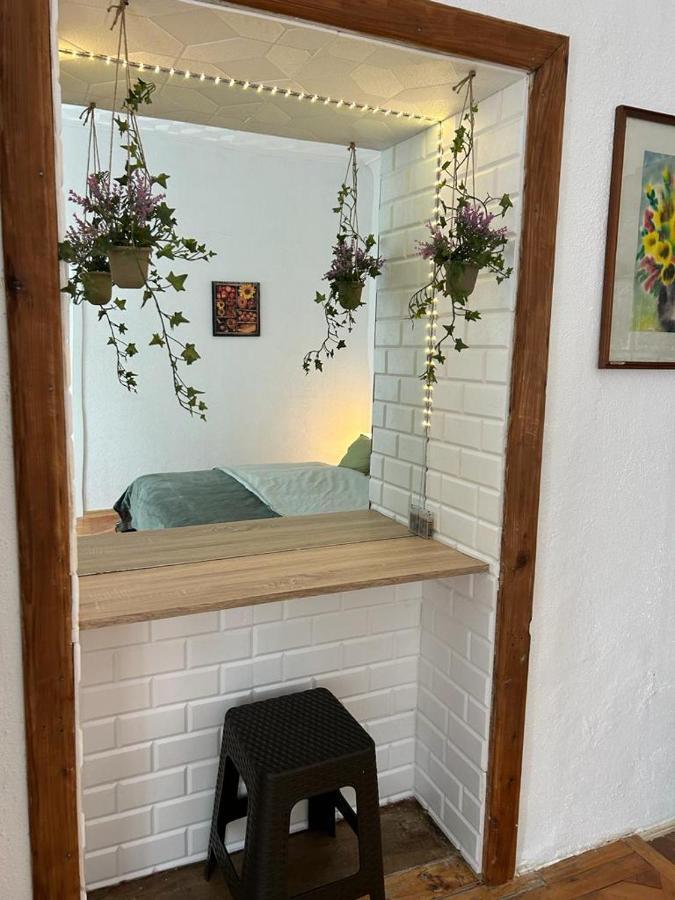 Guest House Rusu Braşov Extérieur photo