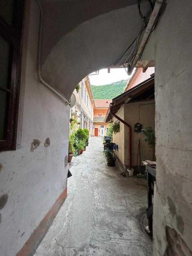 Guest House Rusu Braşov Extérieur photo